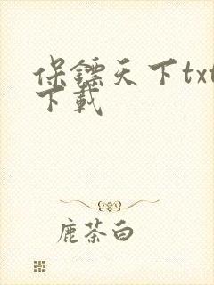 保镖天下txt下载