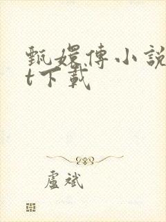 甄嬛传小说txt下载