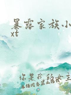 暴露家族小说txt