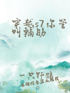 穿越s7你管这叫辅助