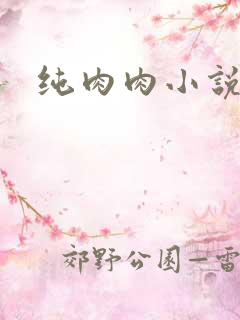 纯肉肉小说