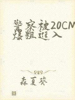 警察被20CM爆粗进入