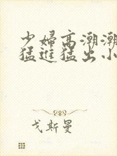 少妇高潮潮喷到猛进猛出小说