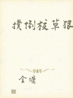 扑倒校草狠狠亲