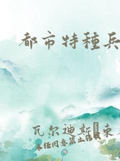 都市特种兵任天