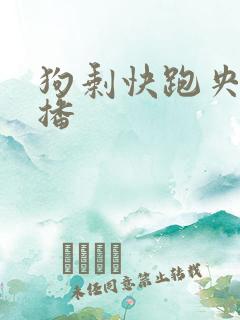 狗剩快跑央八首播