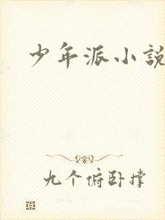 少年派小说