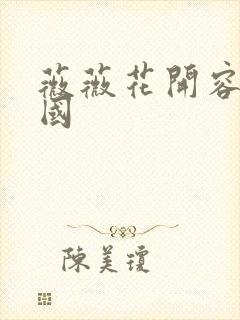 薇薇花开容颜倾国