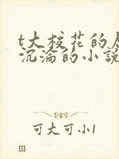 t大校花的屈辱沉沦的小说