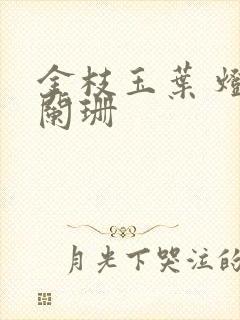 金枝玉叶 灯火阑珊