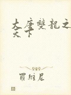 大唐双龙之无敌天下