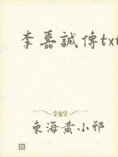 李嘉诚传txt