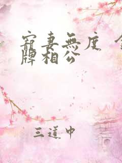 宠妻无度  金牌相公