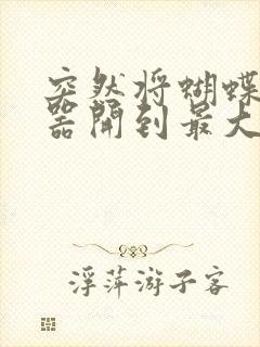 突然将蝴蝶遥控器开到最大