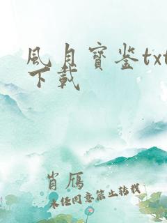 风月宝鉴txt下载