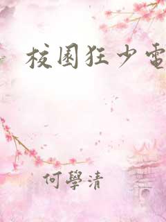 校园狂少电子书