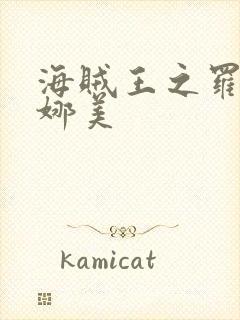 海贼王之罗宾h娜美