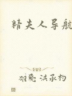 精夫人导航
