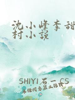 沈小峰李甜的乡村小说