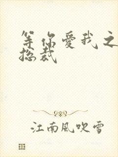 等你爱我之冰山总裁