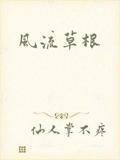 风流草根