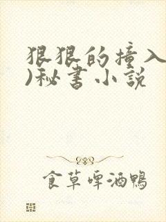 狠狠的撞入(h)秘书小说