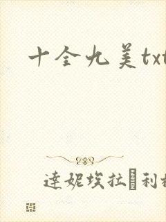 十全九美txt