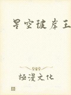 星空彼岸王轩