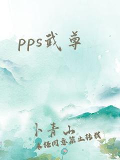 pps武尊
