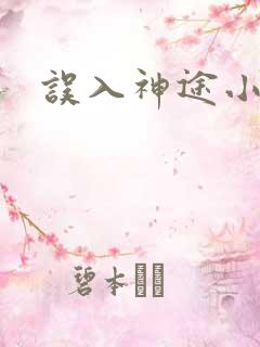 误入神途小说