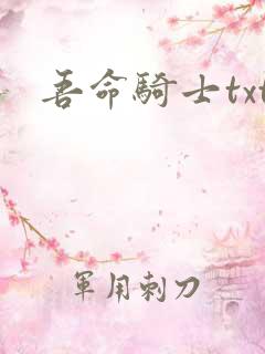 吾命骑士txt