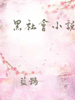 黑社会小说下载