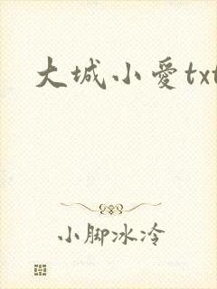 大城小爱txt