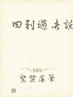 回到过去说爱你