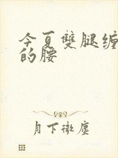 今夏双腿缠陆绎的腰