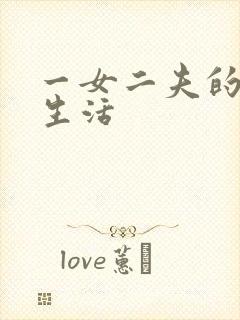 一女二夫的激情生活