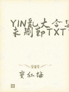 YIN乱大合集未删节TXT下载