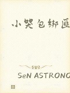 小哭包绑匪