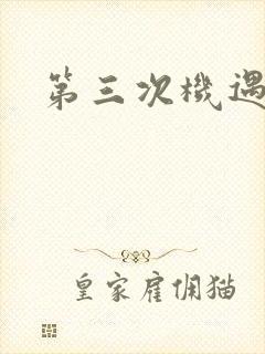 第三次机遇