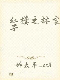 红楼之林家庶长子