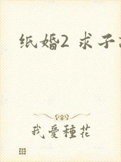 纸婚2 求子记