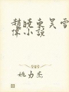 赵晓东吴雪晴郑伟小说