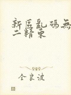 新区乱码无人区二精东