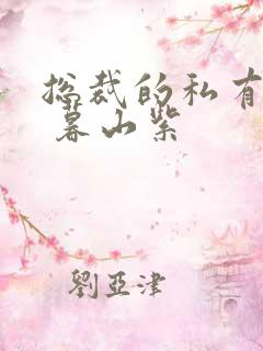 总裁的私有宝贝 暮山紫