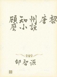 顾知州唐黎叫什么小说