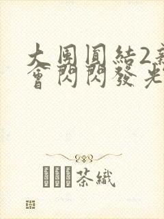 大团圆结2亲情会闪闪发光目录