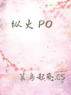 纵火 PO