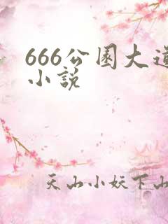 666公园大道小说