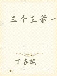 三个王爷一个妃