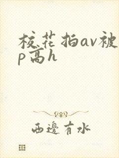 校花拍av被np高h